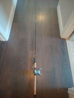 Fishing combo