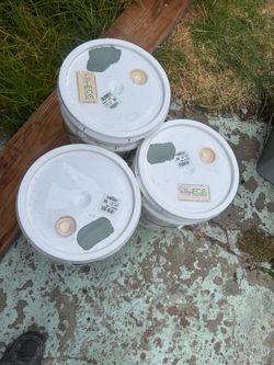 Electric  low  lustre Benjamin Moore