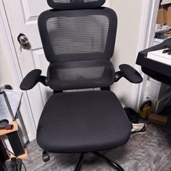 Ergonomic Office Chair
