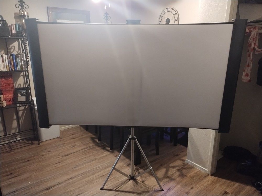 Epson Projection Screen