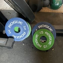 Rogue SML-2C rack, bumpers, dumbbells