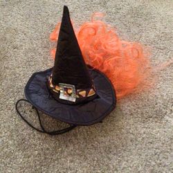 Small Dog Costume Witch Hat 