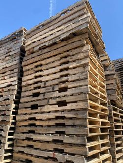 66”x40” Longer Pallets For Sale