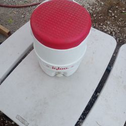 Igloo Water Jug