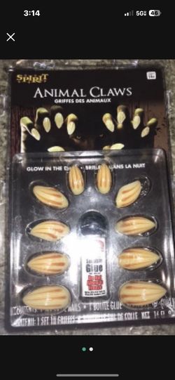 Animals Claws Nails ( Put On ) Halloween Costume