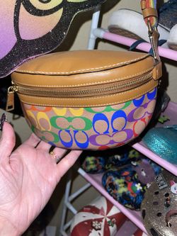 Rainbow Coach Belt Bag 
