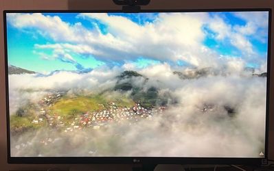 LG 31.5” 4K IPS Monitor – Ergo Arm, USB-C, UltraFine
