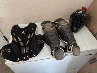 Champ pro catchers gear