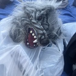 Halloween Mask Five Dollars