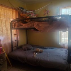 Bunk Beds
