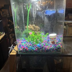 Acrylic Beta Tank And Accessories 
