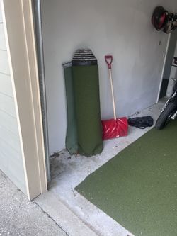 Turf Grass