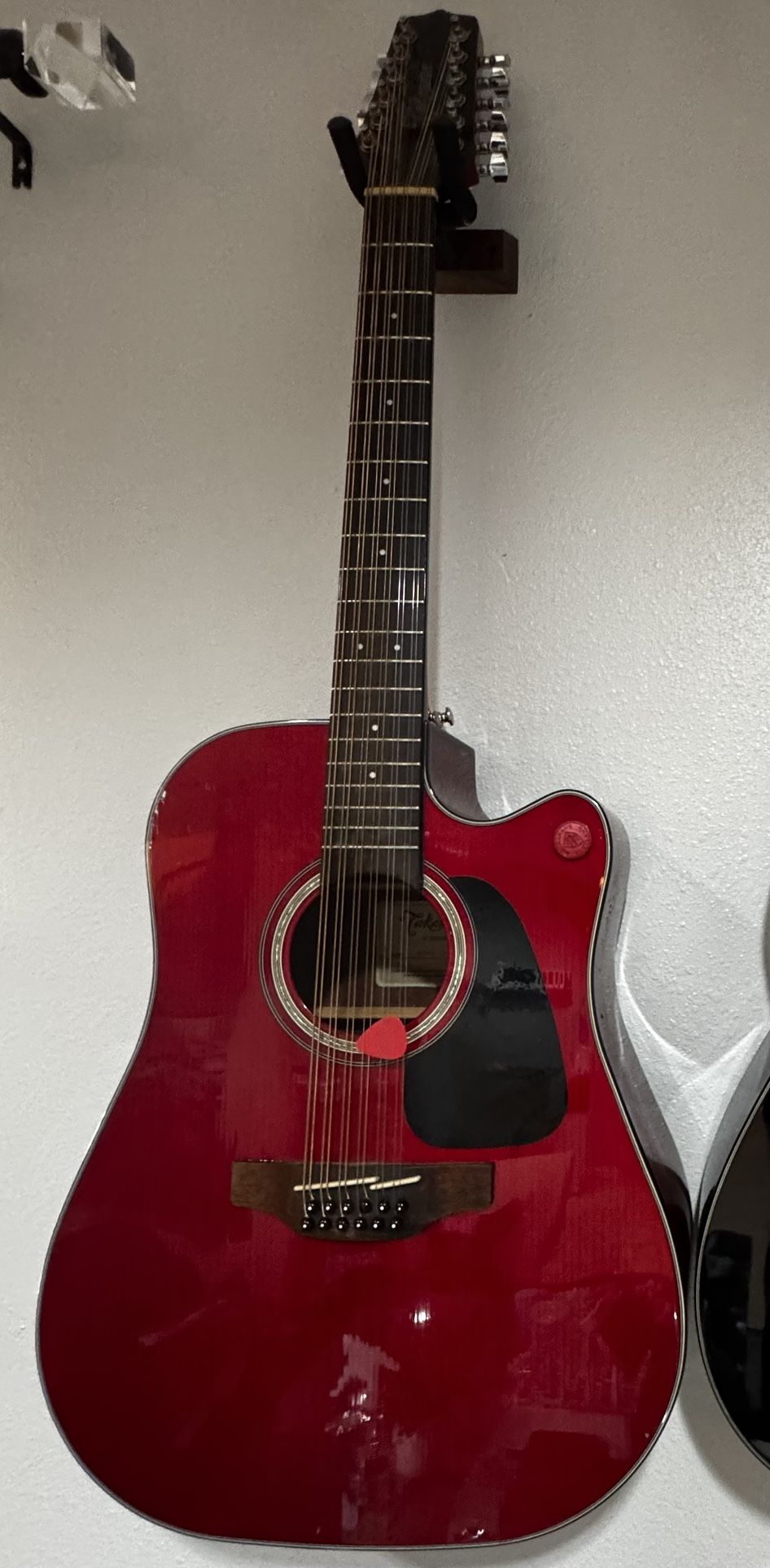 Takamine Guitar