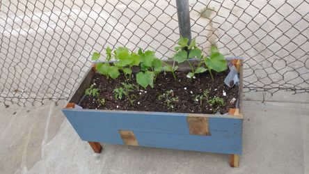 Jardineras
