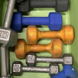 Dumbbells + Gym Accessories 