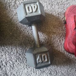 Two (PAIR) of 40 POUND DUMBELLS