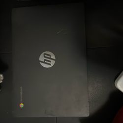 Hp Chromebook