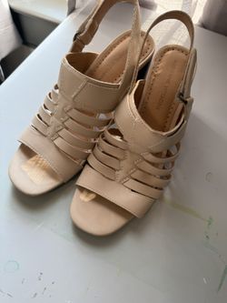 Adrienne Vittadini Size 8M