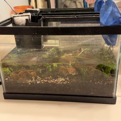 3 gallon fish tank 