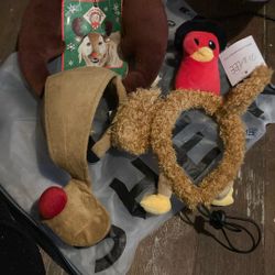 Dog Costumes  Each $20 Or Both $30