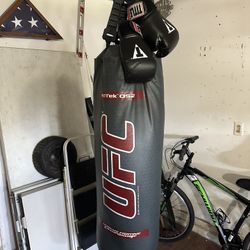 Fullsize Ufc Punching Bag With Gloves
