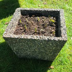 Nice Heavy Aggregate Square Planter With Hosta Plant 