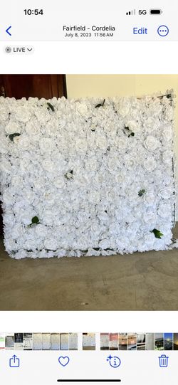 Foldable Flower Wall Made With Blossom Bloom Flowers