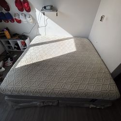 Everything MUST GO!!!