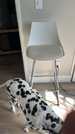 White Modern Counter Stool with Chrome Legs