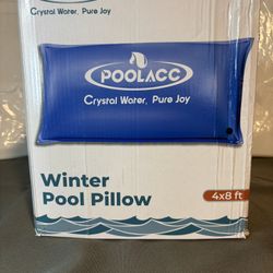 Winter Pool Pillow 