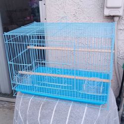 Bird Cage 🐦
