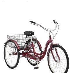 Schwinn Adult Tricycle 