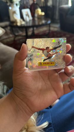 panini sticker world cup boom