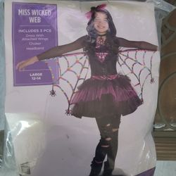 Miss Wicked Web Girl Costume (LARGE 12-14)