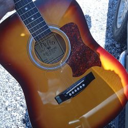 Acoustic Guitar Delta Nashville 