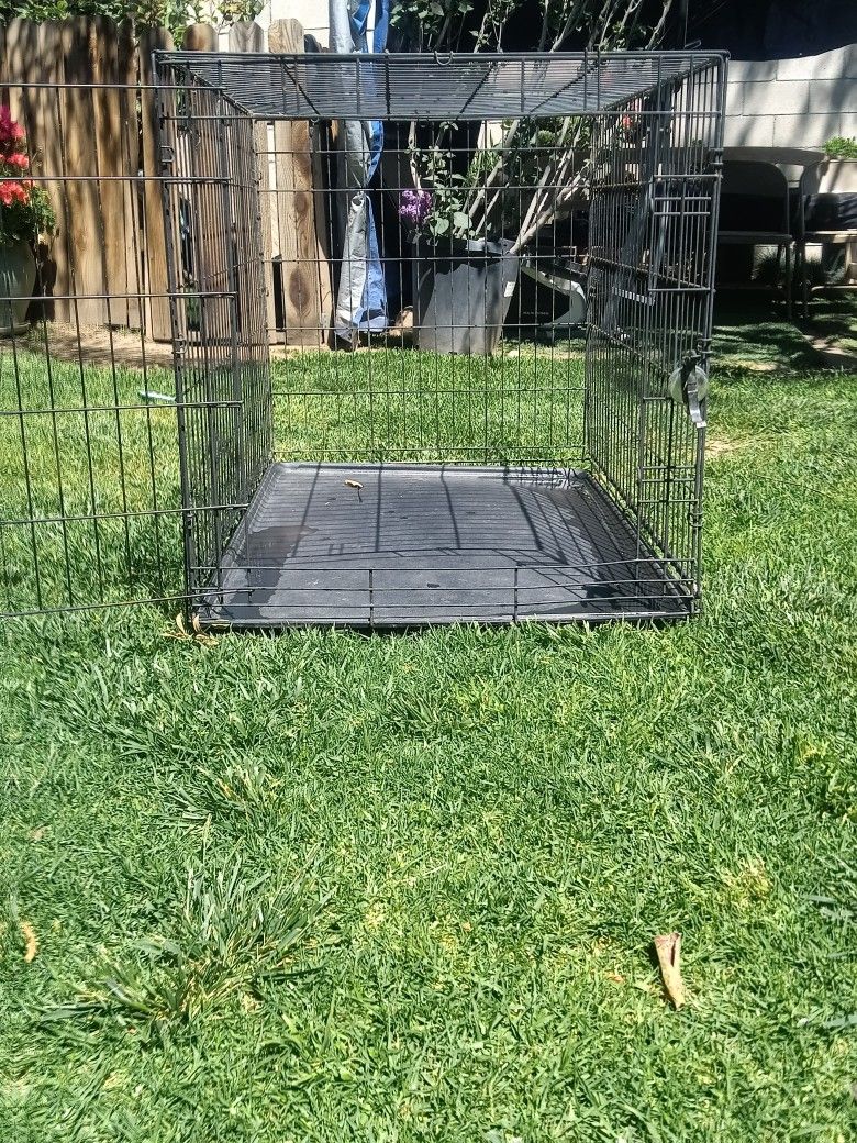 Metal Dog Cage
