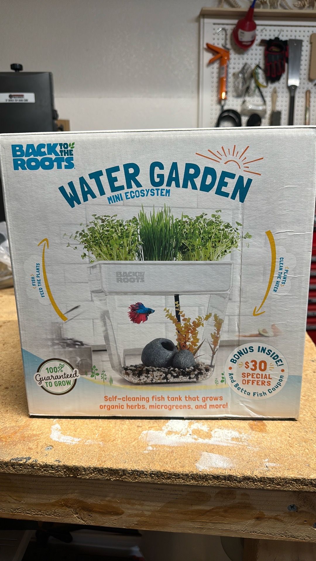 Fish tank/Water Garden