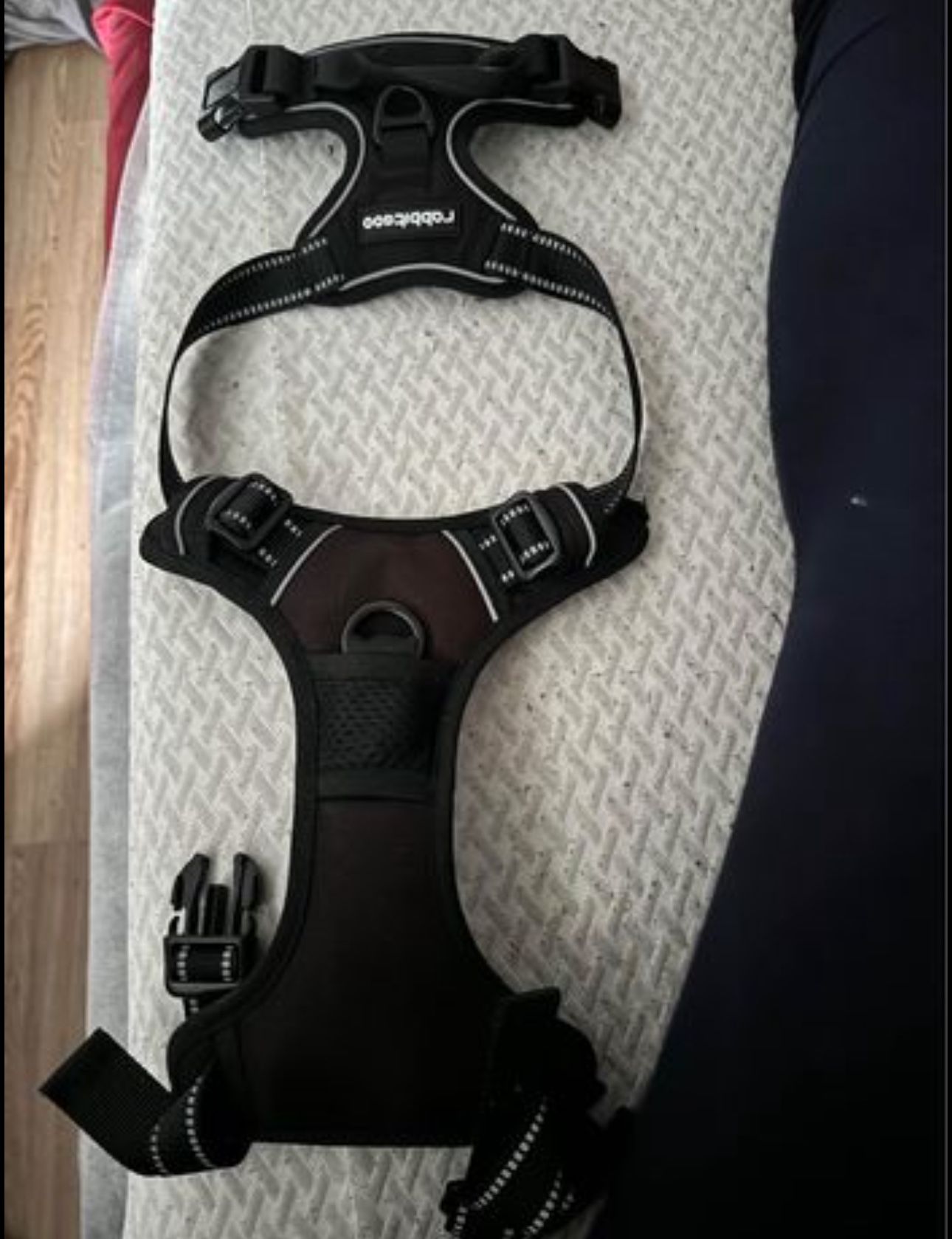 Dog Harness (M)