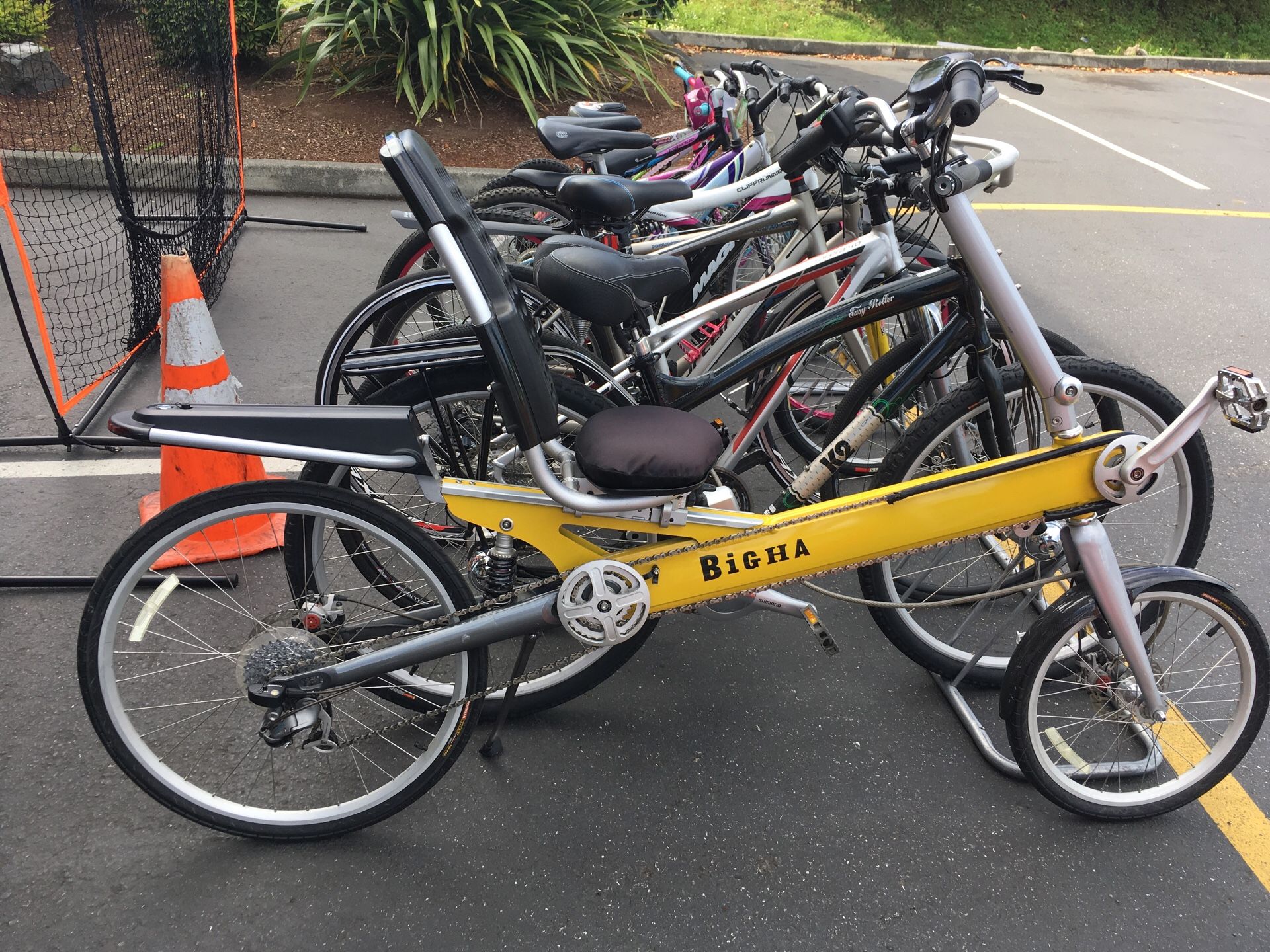 Bigha Recumbent Bicycle