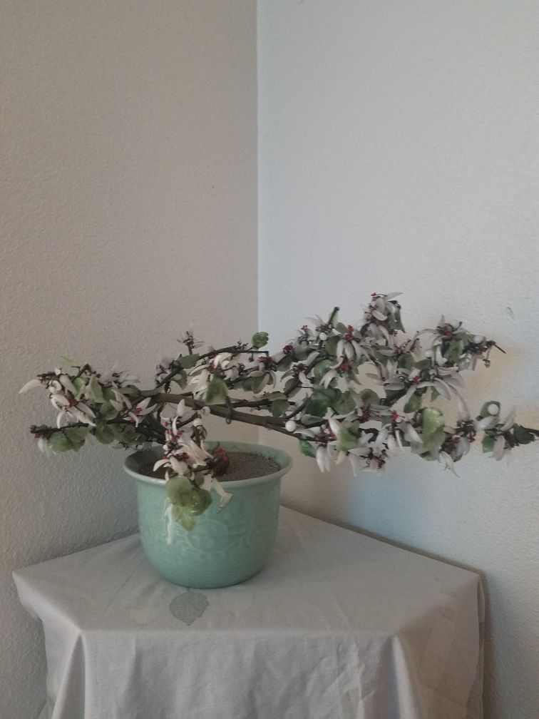 Real white/green jade tree