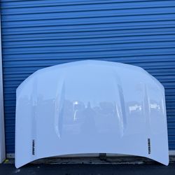 Chevy Chevrolet Silverado 1500 … 2019 2020 2021 .. 2022 2023 2024 2025 Hood OEM
