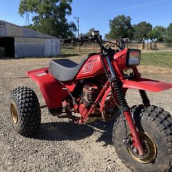 1982 Honda 250r