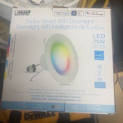 Feit Electric Sealing Lights 