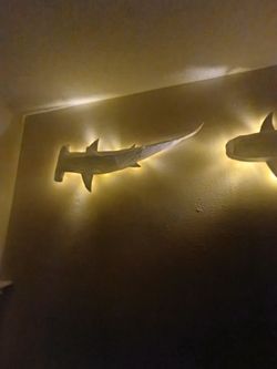 Model sharks