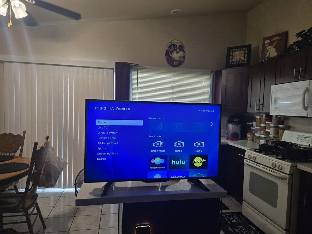 Insignia 40 Inch Roku TV