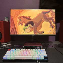 ACER 165HZ GAMING MONITOR 