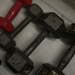 10LB WEIGHT ONLY SINGLE