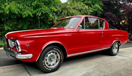 65  Barracuda