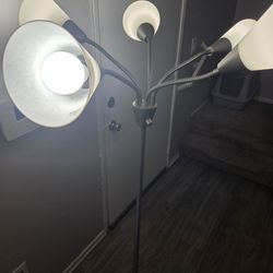 Palm Tree Room Light