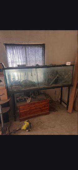 Free fish tank
